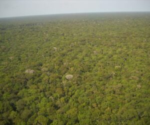 The great Amazon land grab: Brazil’s government is turning public land private, driving deforestation