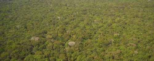 The great Amazon land grab: Brazil’s government is turning public land private, driving deforestation