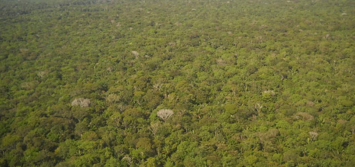 The great Amazon land grab: Brazil’s government is turning public land private, driving deforestation