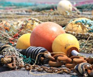 Why bottom trawling must be banned by the EU