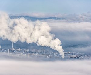 Removing excess CO2 from the atmosphere will be key to limiting global warming
