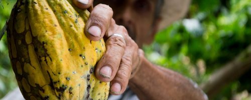 Food sovereignty can empower farmers and costumers alike