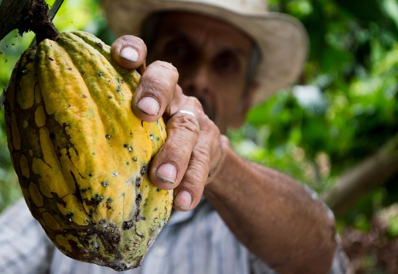 Food sovereignty can empower farmers and costumers alike