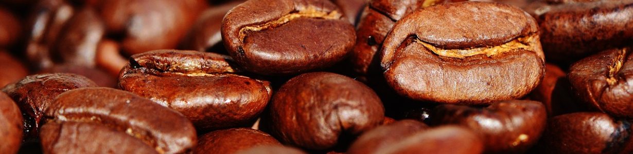 Coffee grounds could help prevent neurodegenerative diseases one day