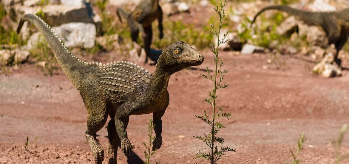 The extinction of the dinosaurs may have been inevitable •