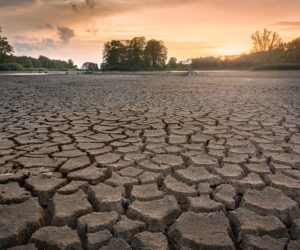 We should ‘get better prepared’ for flash droughts globally