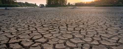 We should ‘get better prepared’ for flash droughts globally