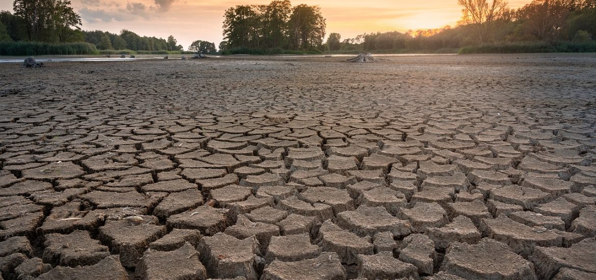 We should ‘get better prepared’ for flash droughts globally