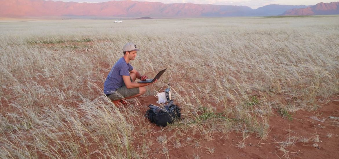 Namibia’s fairy circles offer insights on arid ecosystems