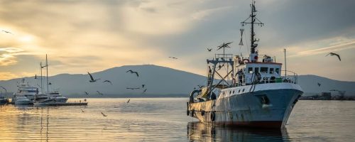 How blockchain technology can make fishing more sustainable