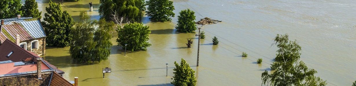 Crops could soon be fortified against flooding, scientists say
