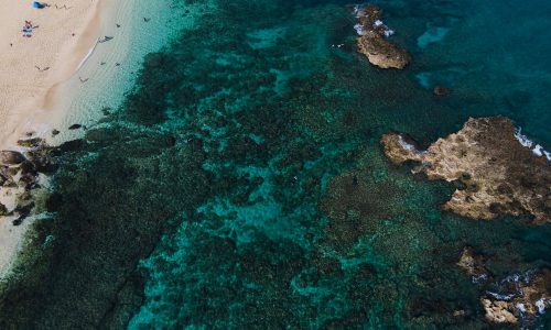 Pollution from land can greatly harm fragile coral reefs