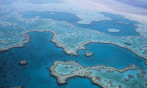 Australia ‘must do more’ to protect the Great Barrier Reef