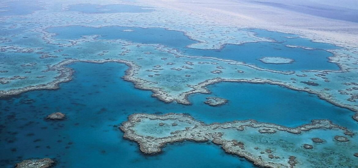 Australia ‘must do more’ to protect the Great Barrier Reef