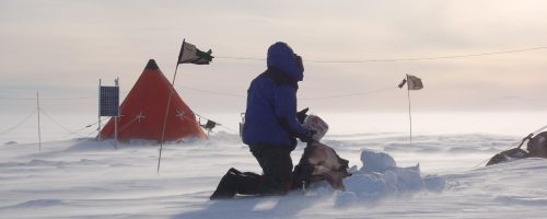 Authors call to adapt, not despair, over Antarctic ice