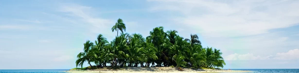 Many palm species are facing the risk of extinction