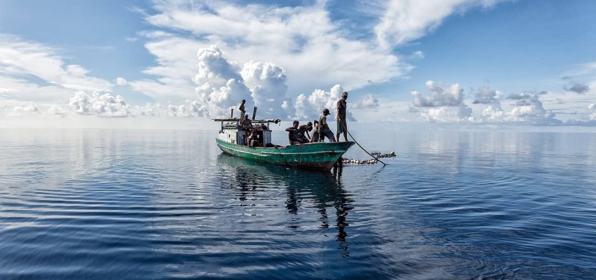 Captured methane can be turned into plenty of fish food