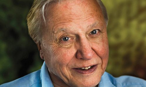 Attenborough: we could face the ‘collapse of everything’