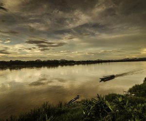 The Mekong keeps on yielding species new to science