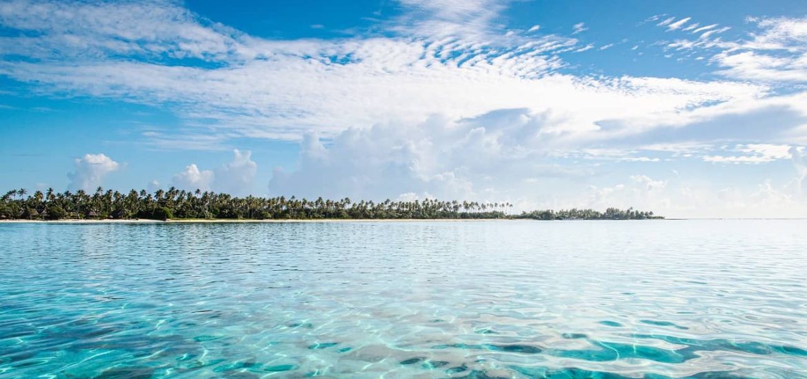 Corals thrive in clearer water with more access to sunlight