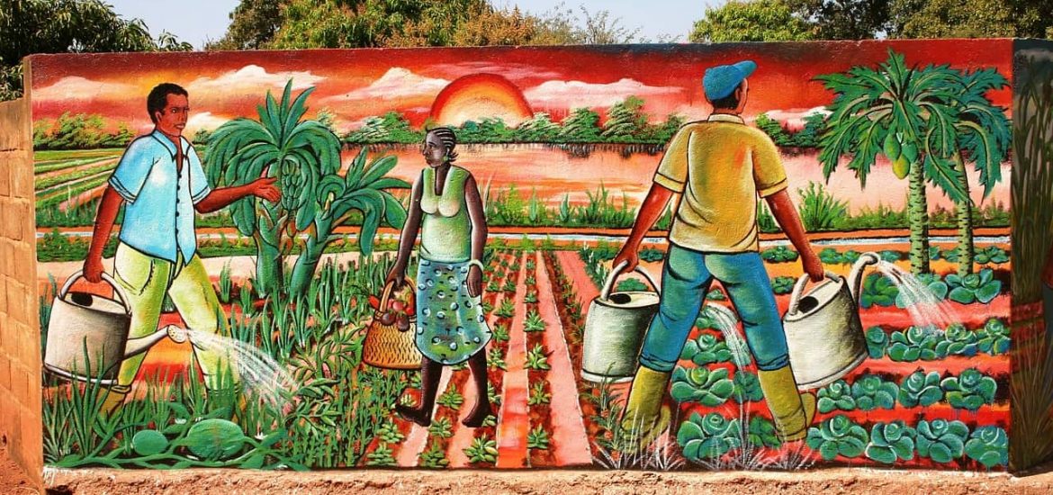 Towards zero hunger in Africa: 5 steps to achieve food security
