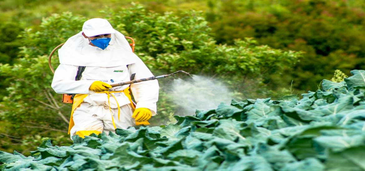 Two-thirds of agricultural land globally are at risk of pesticide pollution