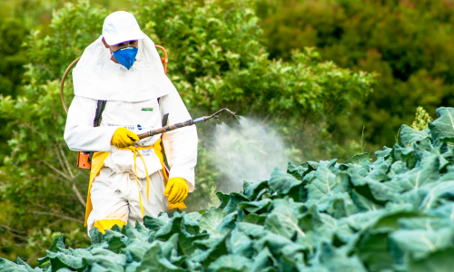 Two-thirds of agricultural land globally are at risk of pesticide pollution