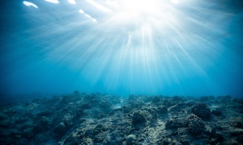 Marine heatwaves affect ecosystems far below the surface