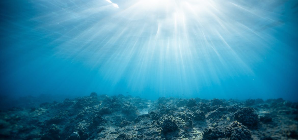 Marine heatwaves affect ecosystems far below the surface