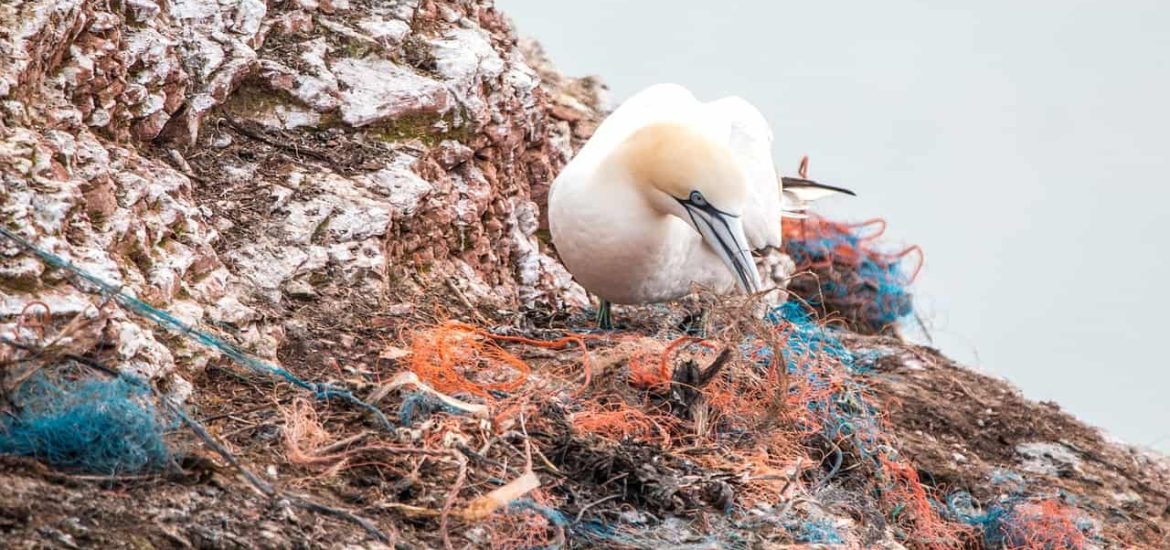 We can drastically cut plastic pollution, the UN says