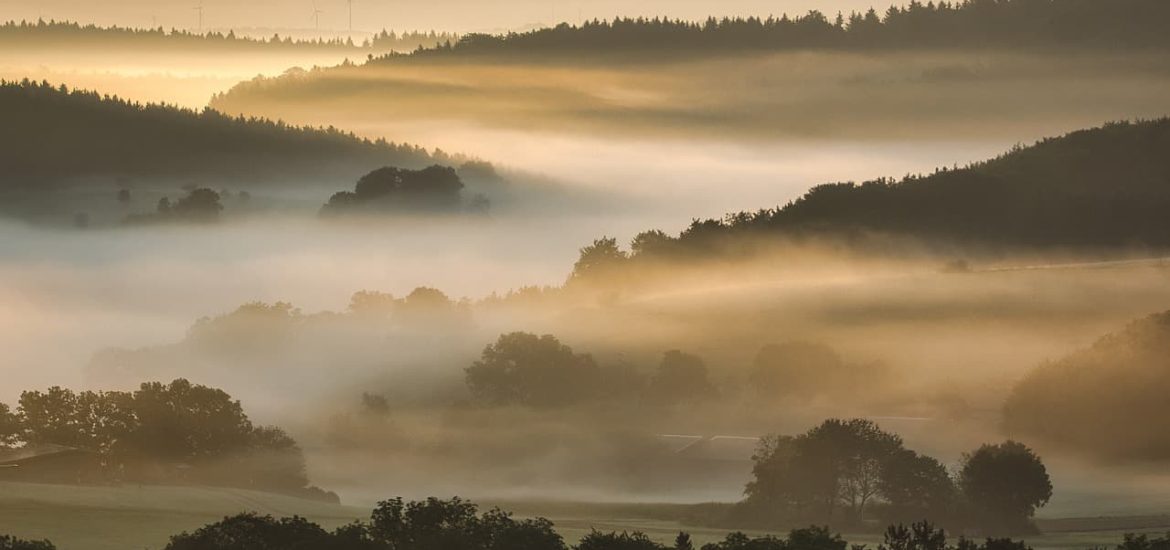 Alongside climate change, COP26 must address crisis facing ecosystems