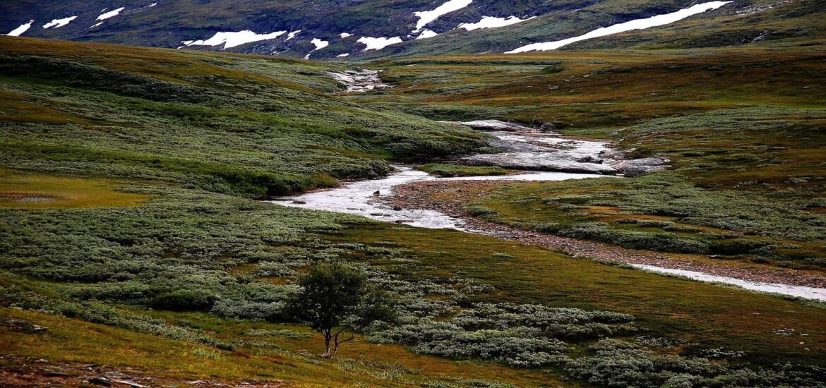 Much less methane might be released from thawing tundra than previously thought
