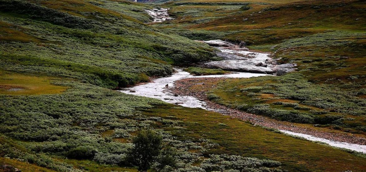 Much less methane might be released from thawing tundra than previously thought