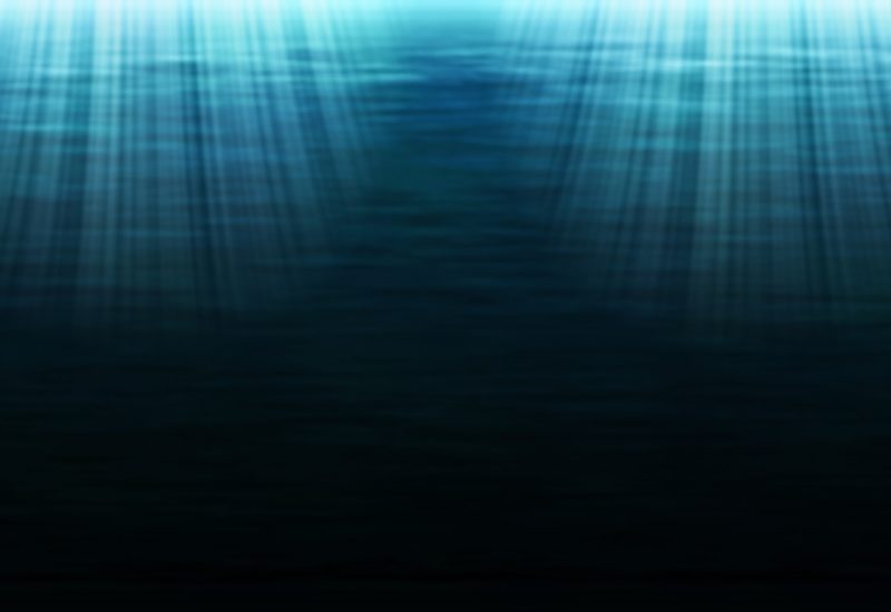 Long-banned pollutants have made their way to the deepest part of the ocean